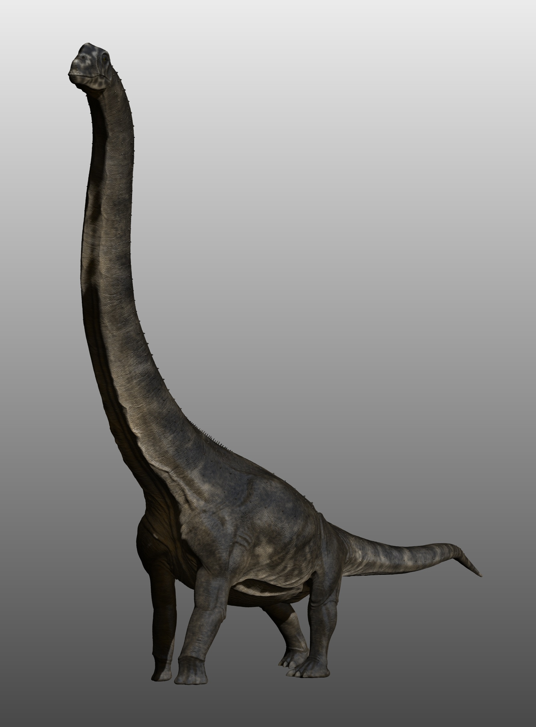 sauroposeidon_by_manuelsaurus-d8jb8qh.jpg