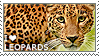 i_love_leopards_by_wishmasteralchemist-d5m3c1p.png