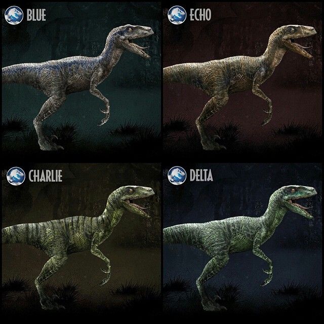 Jurassic World Raptor Differences By Winterstormwolf96 On Deviantart 