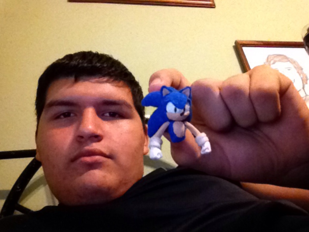 Sonic The Hedgehog plush felt and I by delvallejoel - sonic_the_hedgehog_plush_felt_and_i_by_delvallejoel-d5siv71