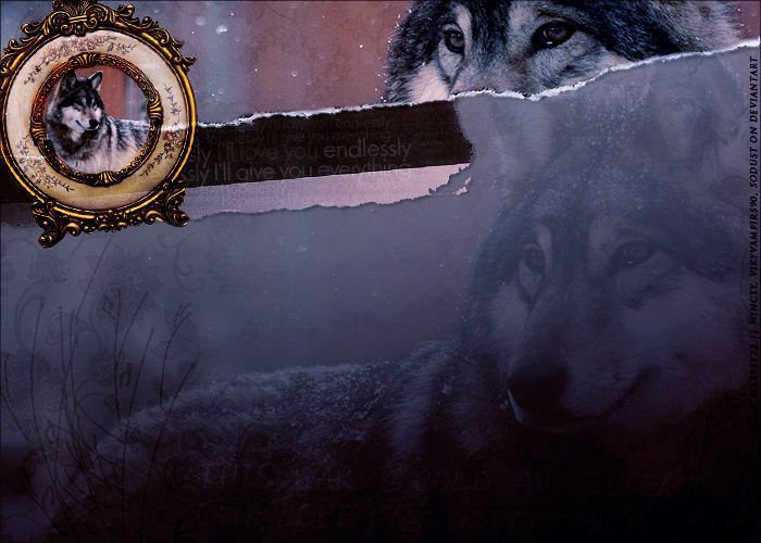 howrse_wolf_layout_by_atelierantares-d5n5c6t.png
