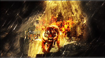 Fire Tiger by maher77 on DeviantArt