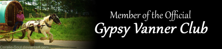I'm a member of the Gypsy Vanner Club!
