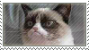 grumpy_cat_stamp_by_chocco_coco-d5ppz3e.png