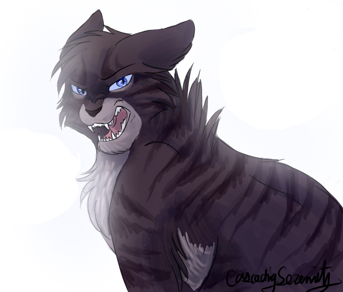 hawkfrost_by_cascadingserenity-d79mdue.p