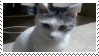 OMG Cat Stamp by Tripp-X-Foxx
