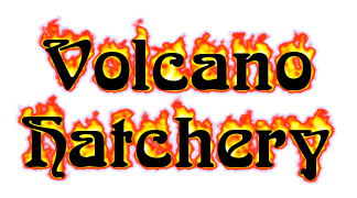 volcano_hatchery_badge_by_shozurei-dac8ibm.png