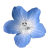 Flower icon.27