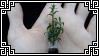 Tiny Plant [Stamp] by The--Creative--Cat