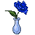 Blue Rose in teardrop crystal vase dewless