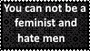 That's not the point of being feminist by SoraRoyals77