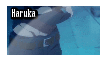Free! Stamp: Haruka by wow1076