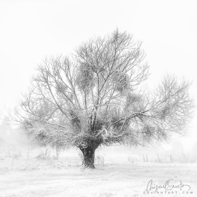 The will of Winter par Miguel-Santos sur DeviantArt