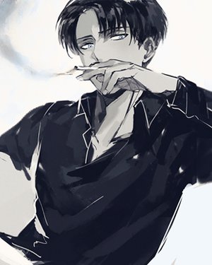 Levi from the Scouts