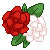 F2U Rose Icon - Red and White by Kiwicide