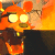 Foxy Can't Cook (Chat Icon)